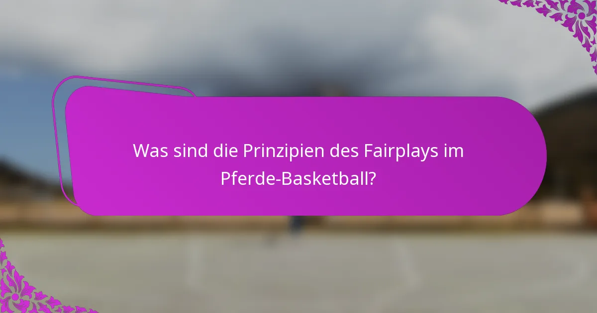 Was sind die Prinzipien des Fairplays im Pferde-Basketball?