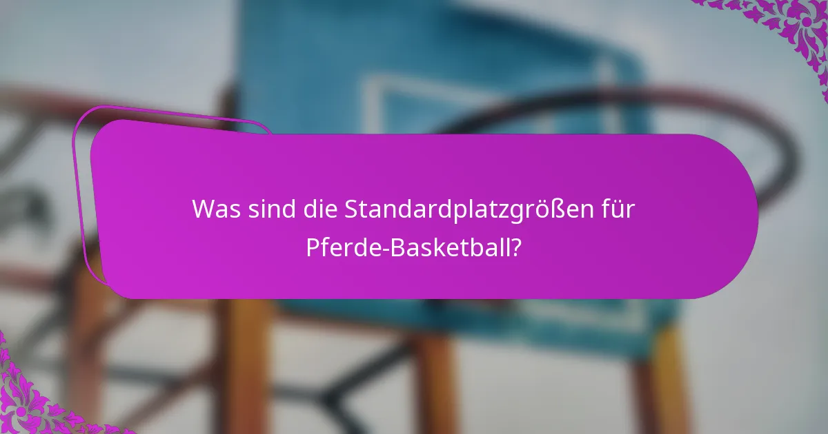 Was sind die Standardplatzgrößen für Pferde-Basketball?