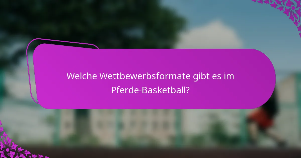 Welche Wettbewerbsformate gibt es im Pferde-Basketball?