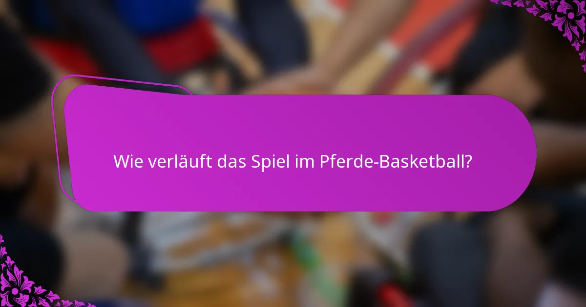 Wie verläuft das Spiel im Pferde-Basketball?
